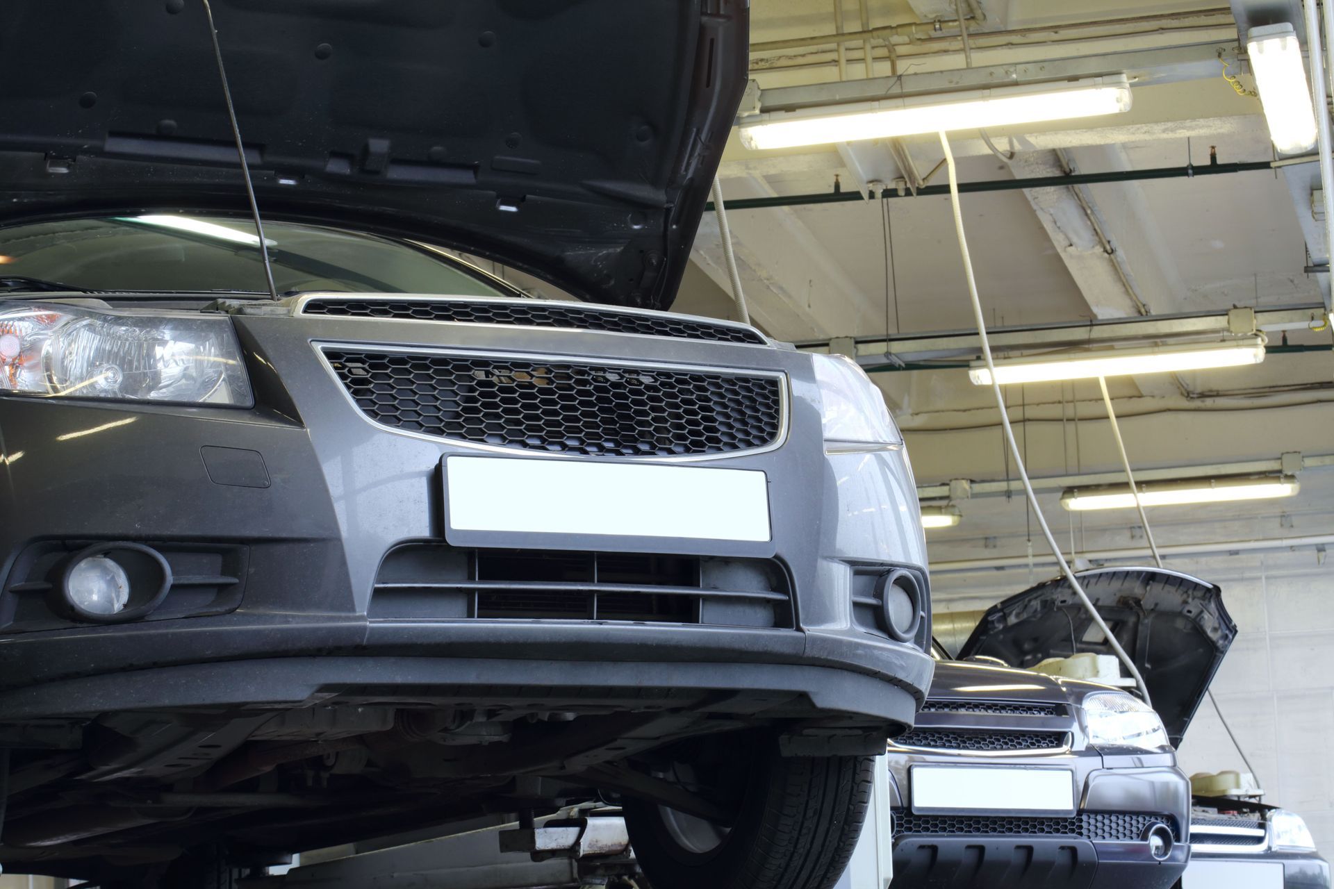 Step-by-Step Process of Auto Sticker Renewal