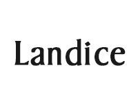 Landice