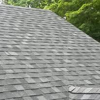 Gray shingled roof with a small patch repair, framed by green trees