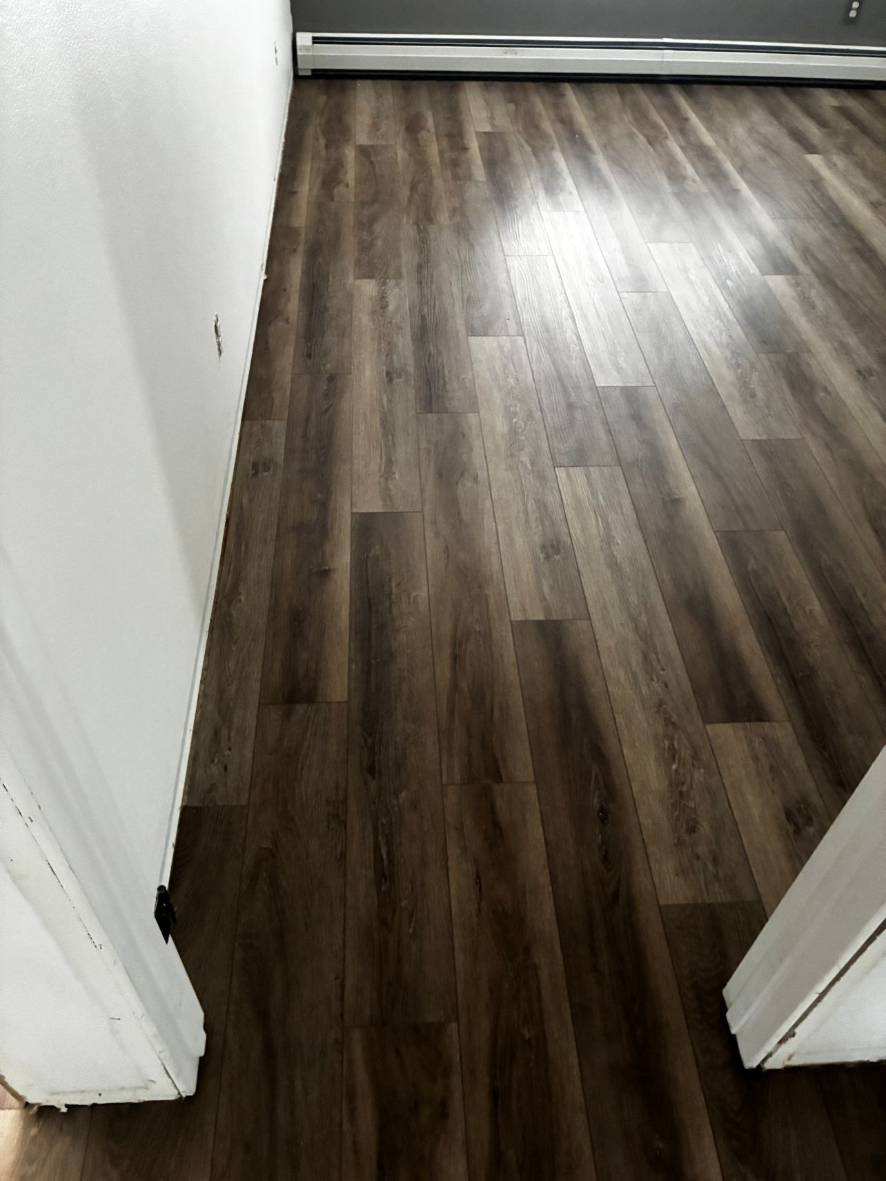 Empty hallway with dark wood flooring and white walls, viewed through a doorway.