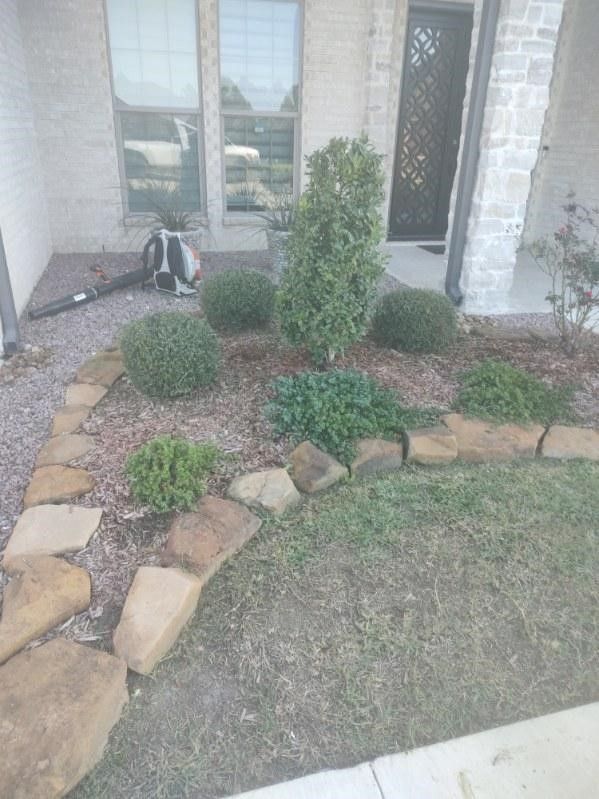 A lawn with rocks and bushes in front of a house.