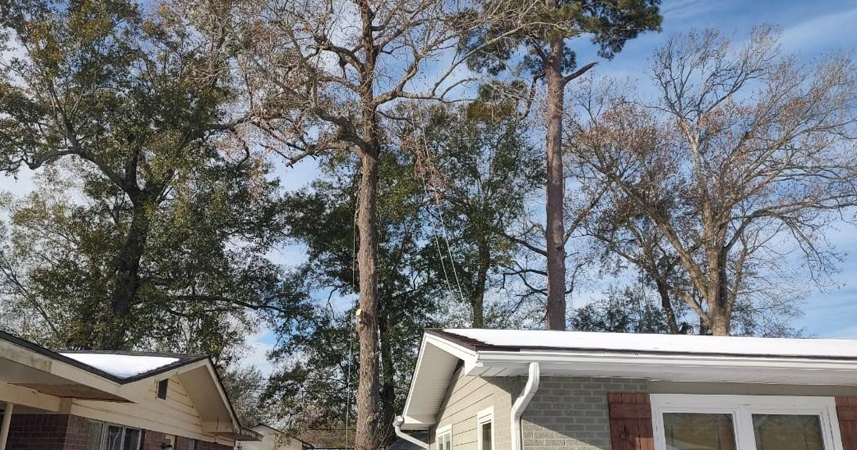 A house with snow on the roof and trees in the background.