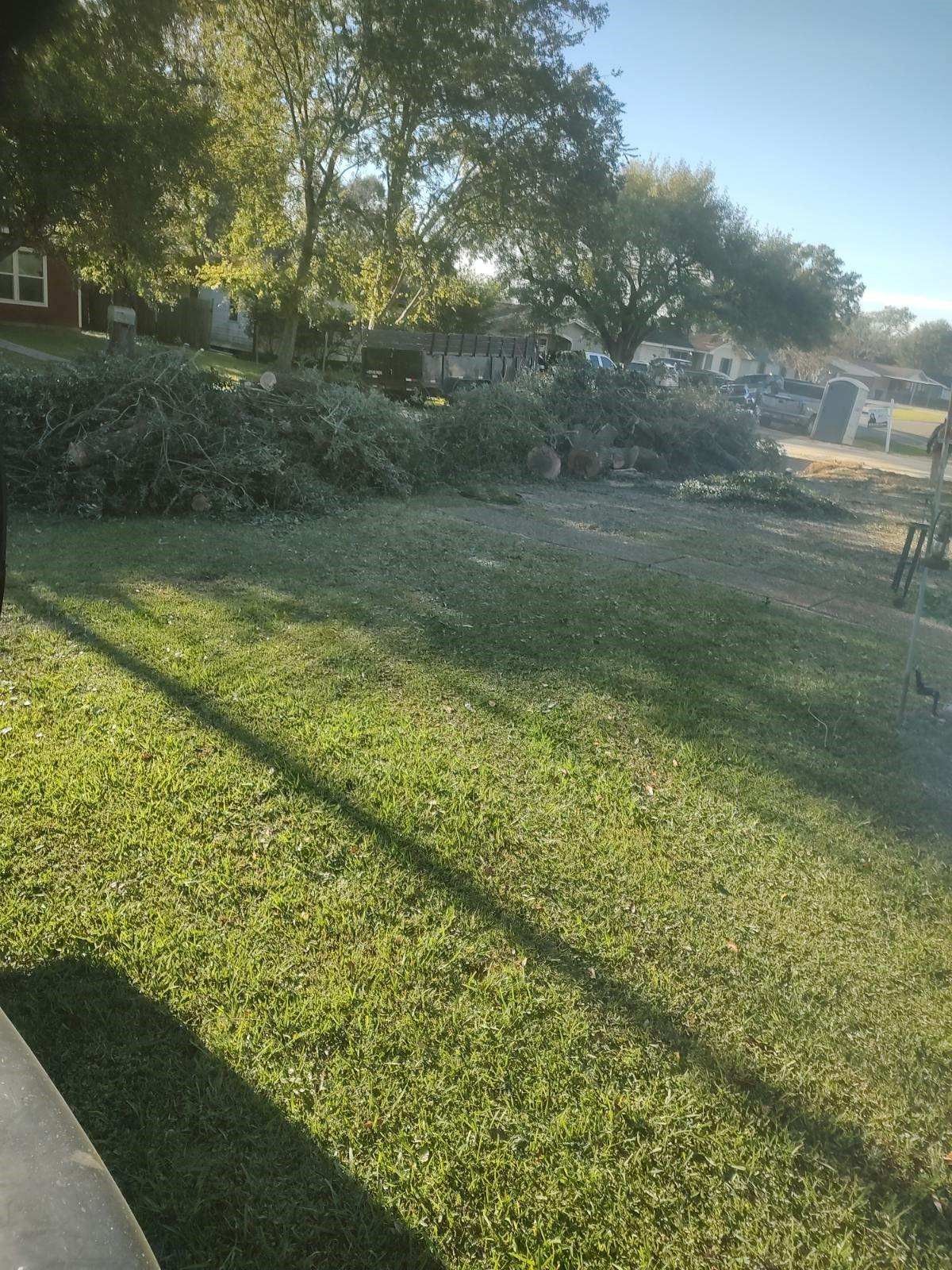 A lush green lawn with a lot of trees in the background.