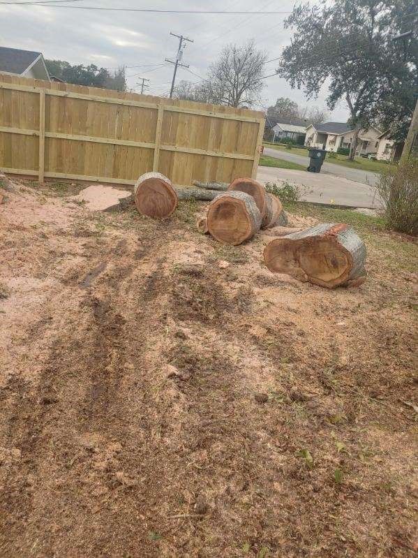 A pile of logs in a yard next to a wooden fence.