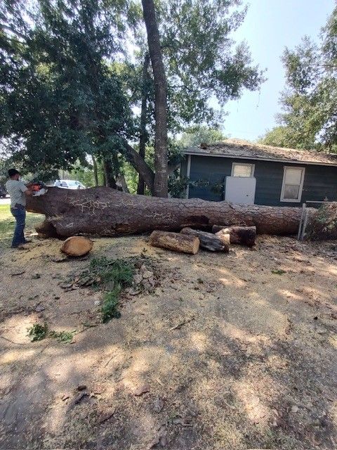A large log is laying on the ground in front of a house.