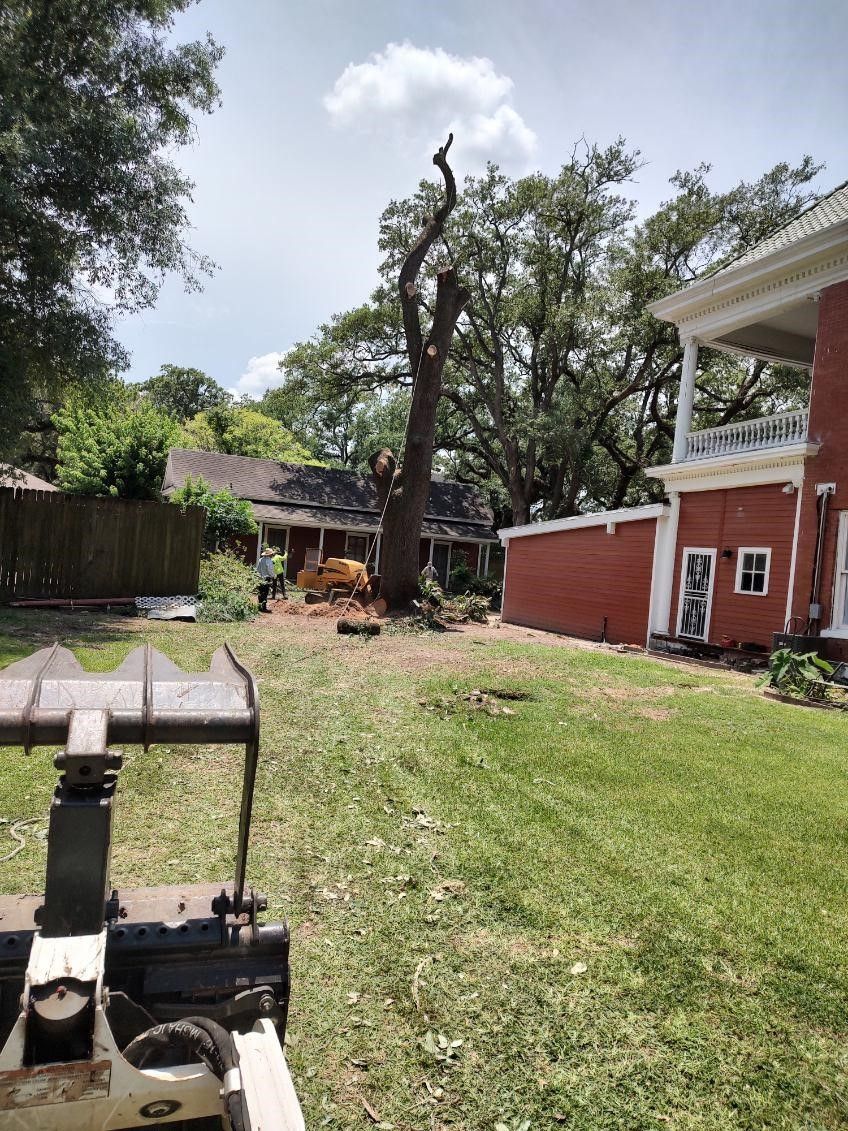 A tractor is cutting down a tree in front of a house.