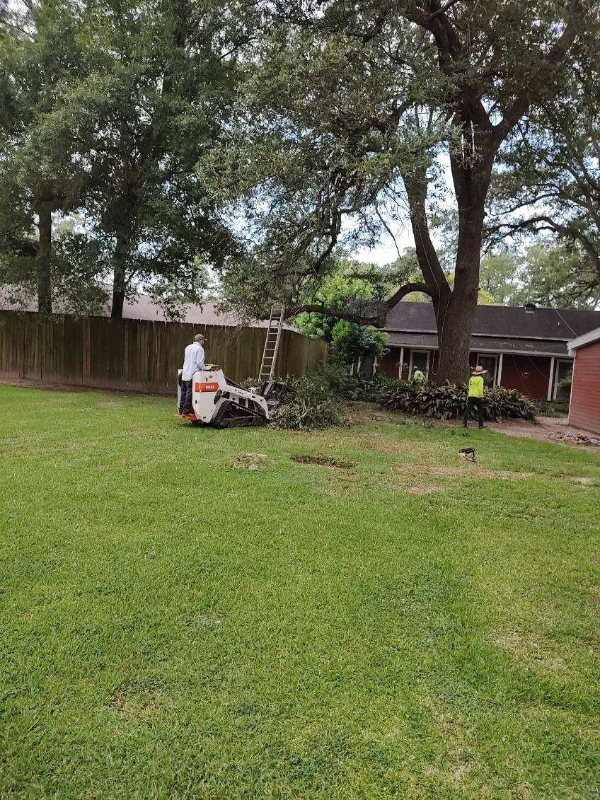 A man is cutting a tree in a backyard with a machine.