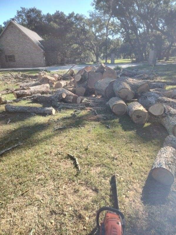 A chainsaw is sitting in the grass next to a pile of logs.