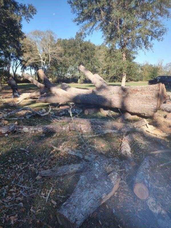 A large tree stump is laying on the ground in a park.