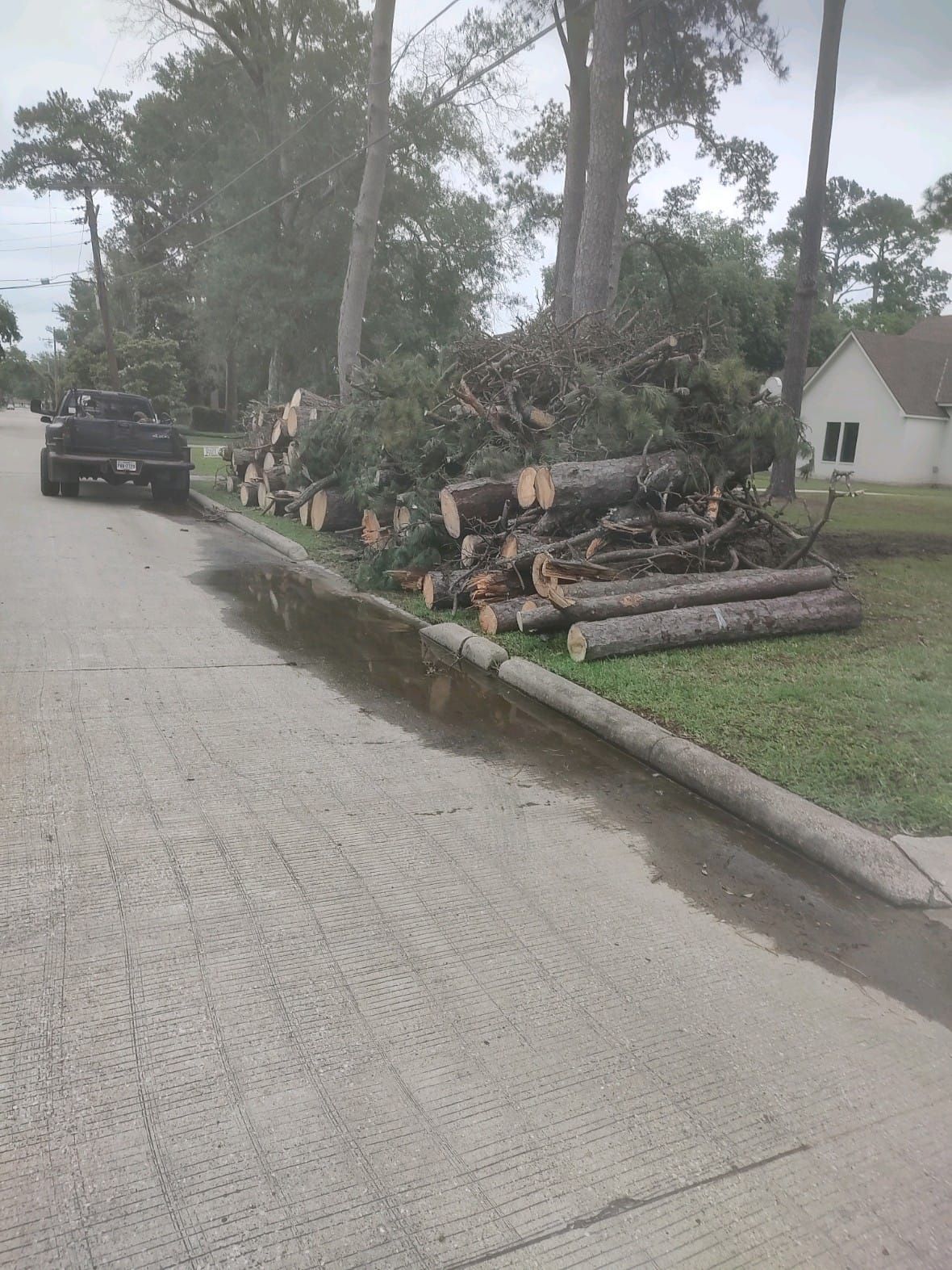 A truck is parked on the side of the road next to a pile of logs.