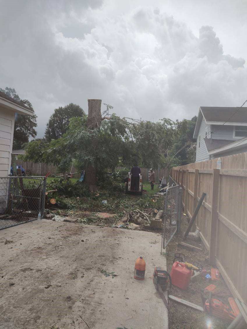 A backyard with a fence , trees , and a chimney.