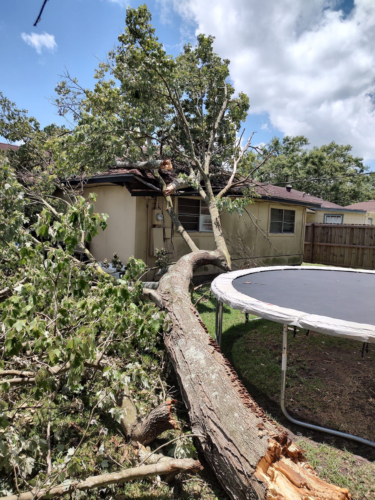 A tree has fallen on a trampoline in front of a house.