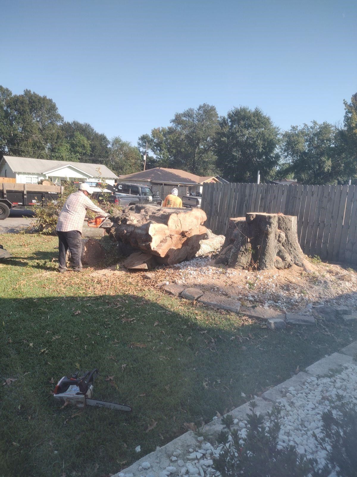 A group of people are cutting down a tree stump in a backyard.
