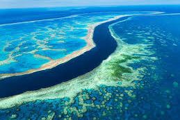 An aerial view of the great barrier reef