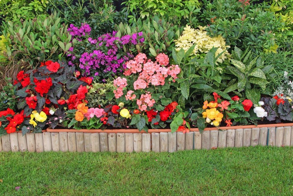 Colorful flower bed with red, pink, yellow, and purple blooms above a stone border and green lawn