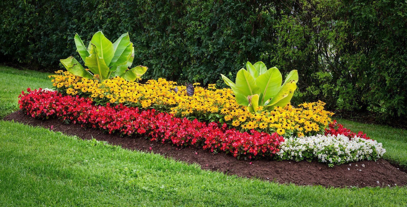 Colorful flower bed with red, yellow, white, and green plants in a landscaped garden