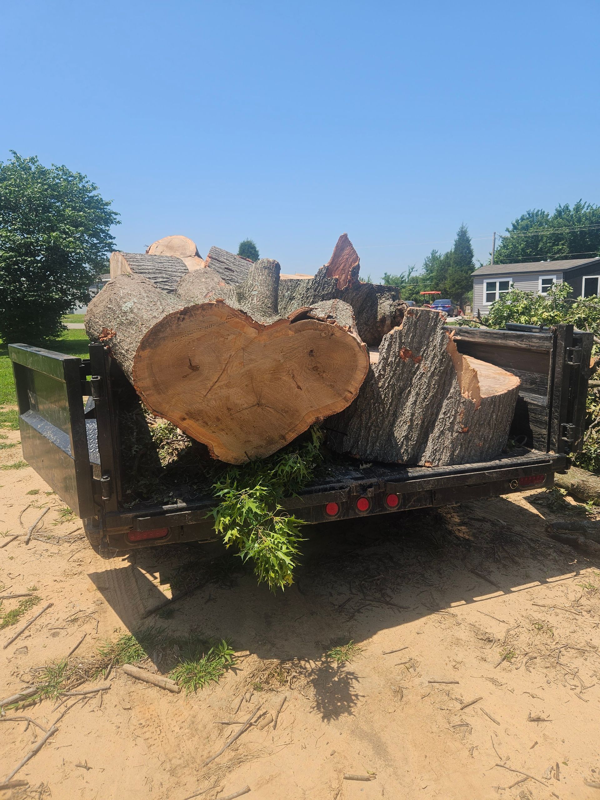 A truck bed loaded with large cut tree logs on a sunny roadside near a house and trees.