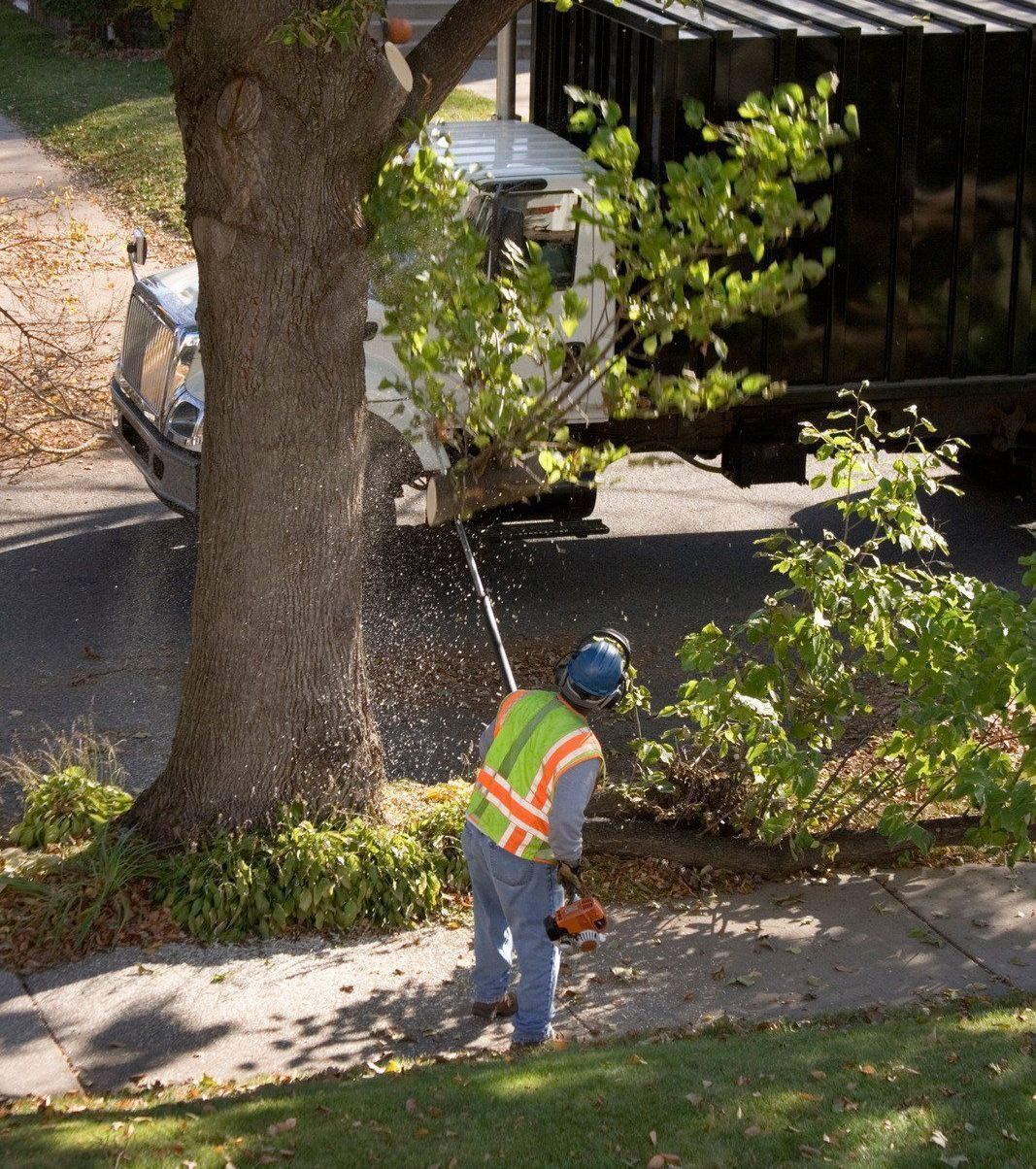 Worker in orange safety vest trimming bushes along a sidewalk near a tree and parked cars.