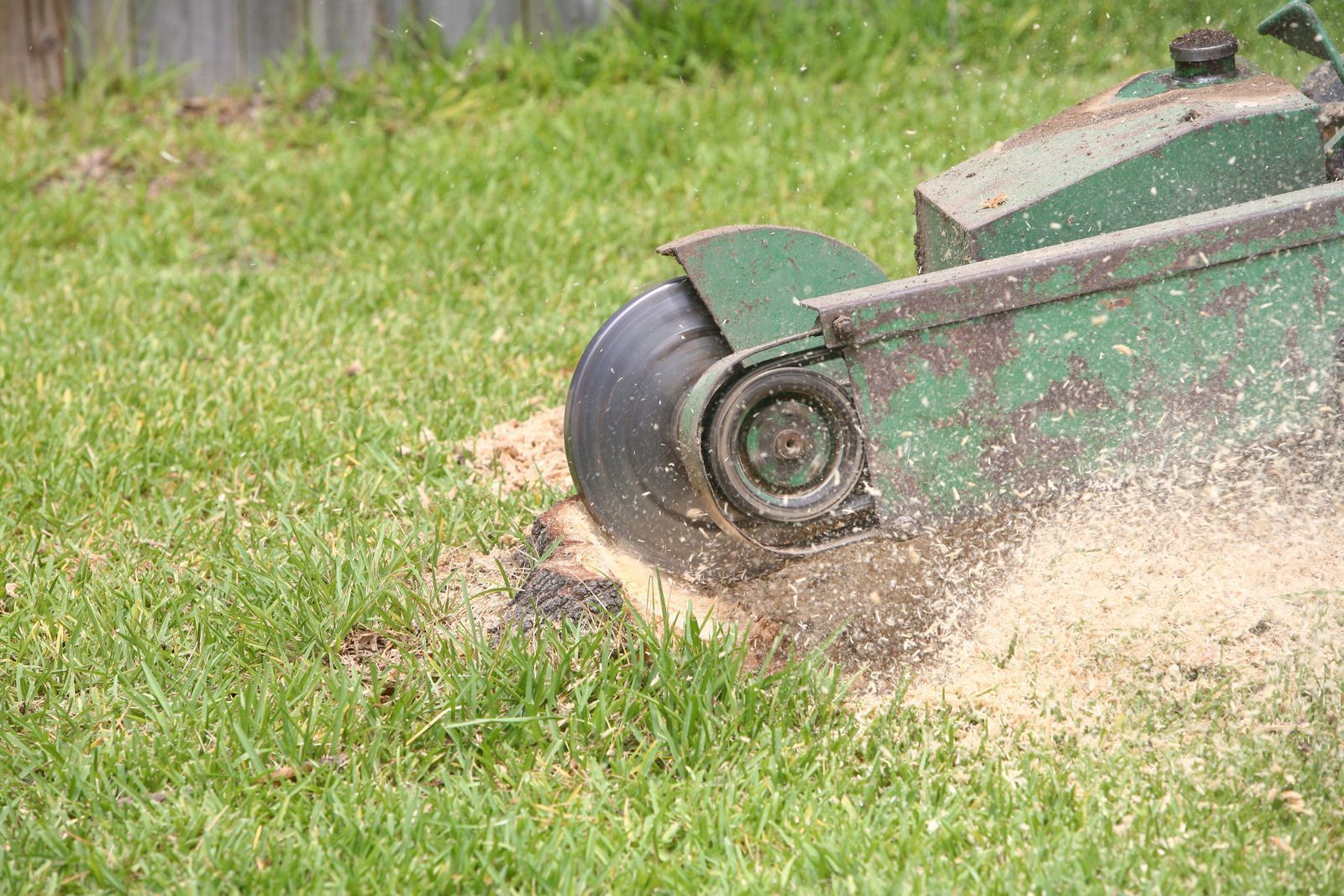 Green lawn mower cutting grass, kicking up dirt and debris on a grassy lawn.