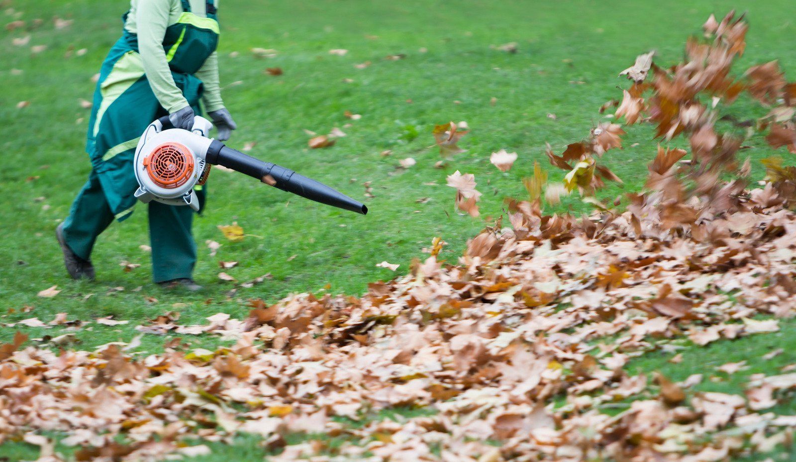Person using a leaf blower to clear autumn leaves on a grassy lawn