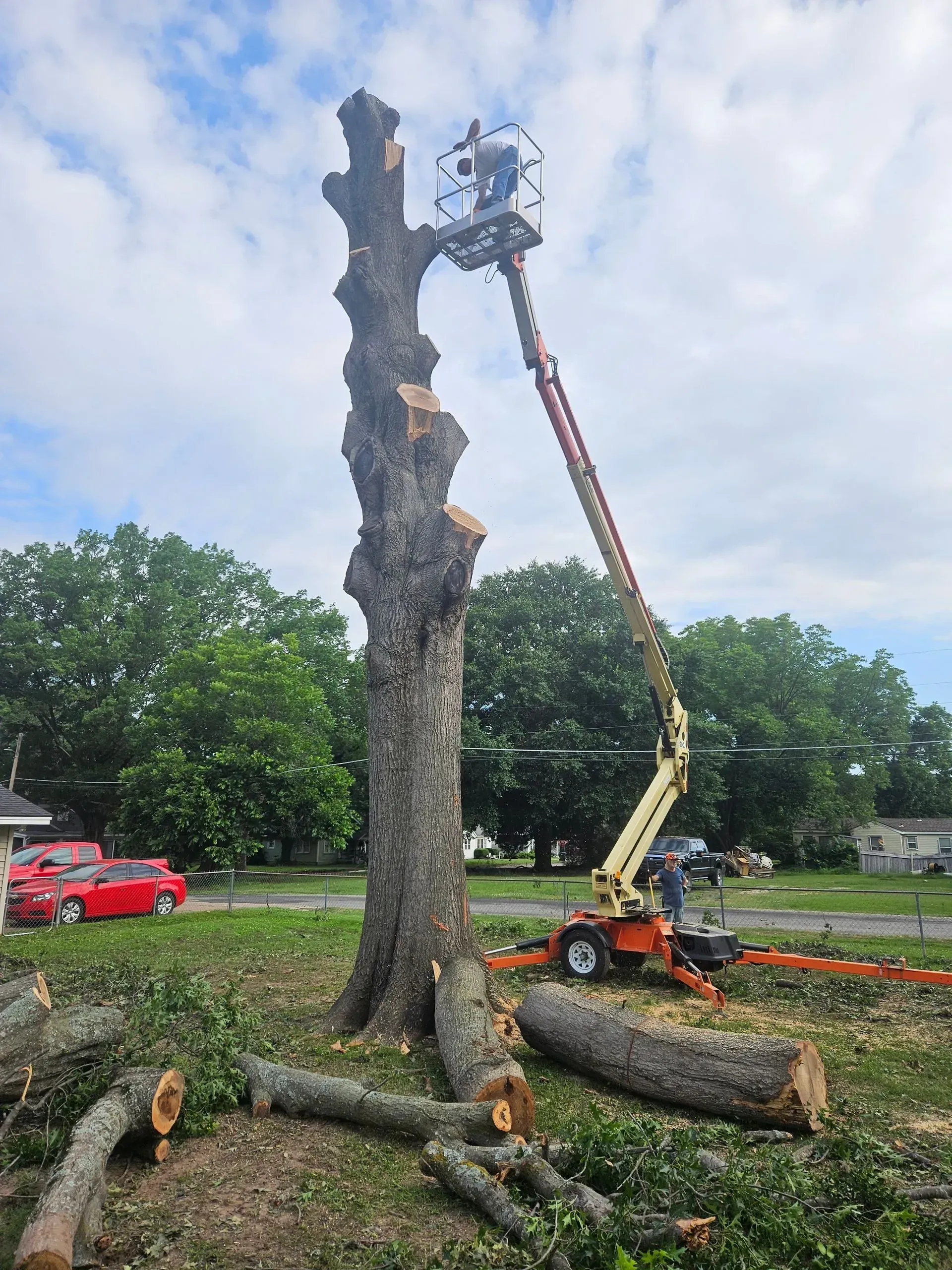Worker in a lift trimming a tall dead tree trunk in a grassy yard with logs on the ground.