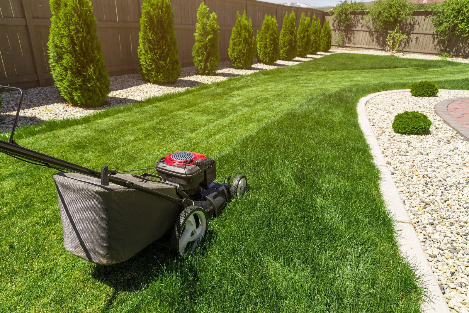 Lawn mower mowing a green lawn in a landscaped backyard with a curved gravel path.