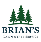 Brian&rsquo;s Lawn & Tree Service logo with three green pine trees above the name