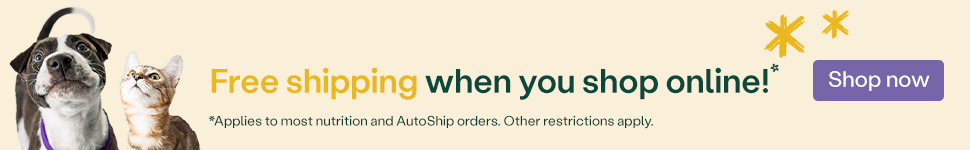 Dog and cat with Free shipping when you shop online! and Shop now button.