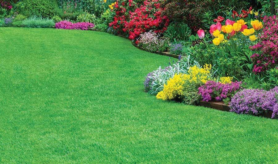 Landscaping Services