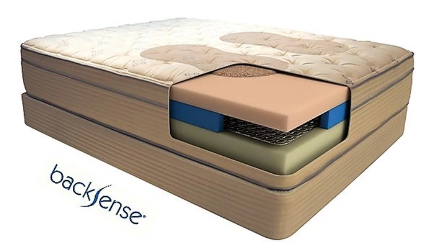 Backsense