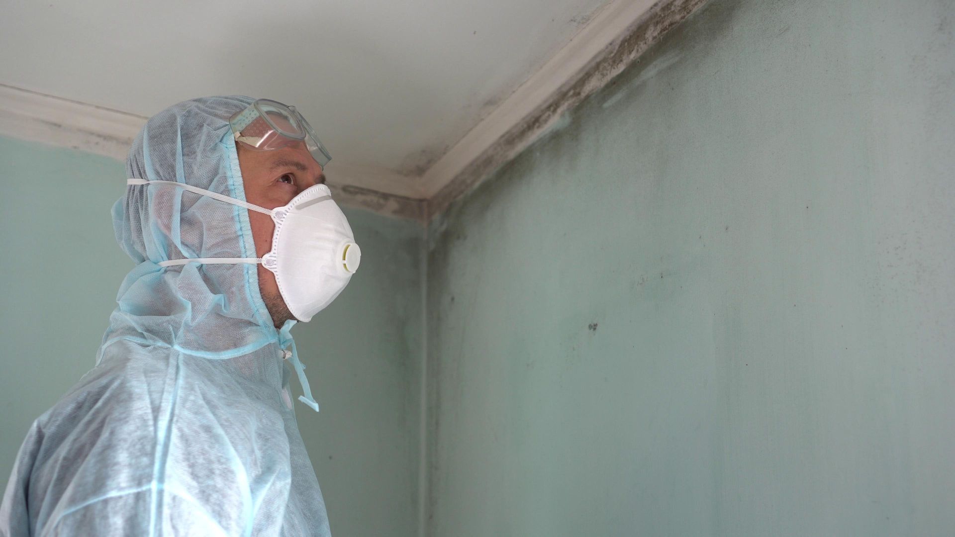 mold remediation
