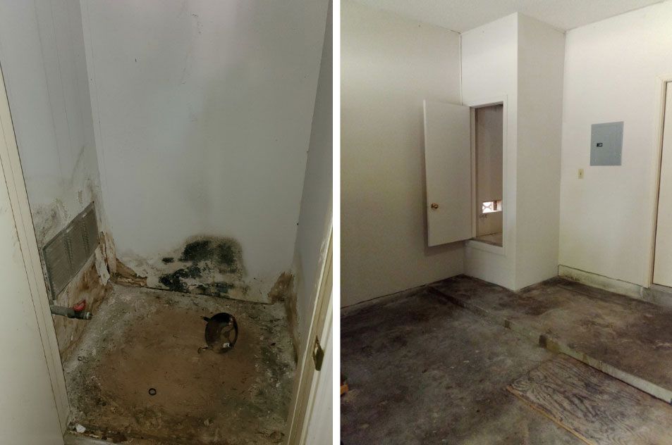 Split view showing a damaged, moldy wall in a small room compared to a clean, repainted room with a small open door.