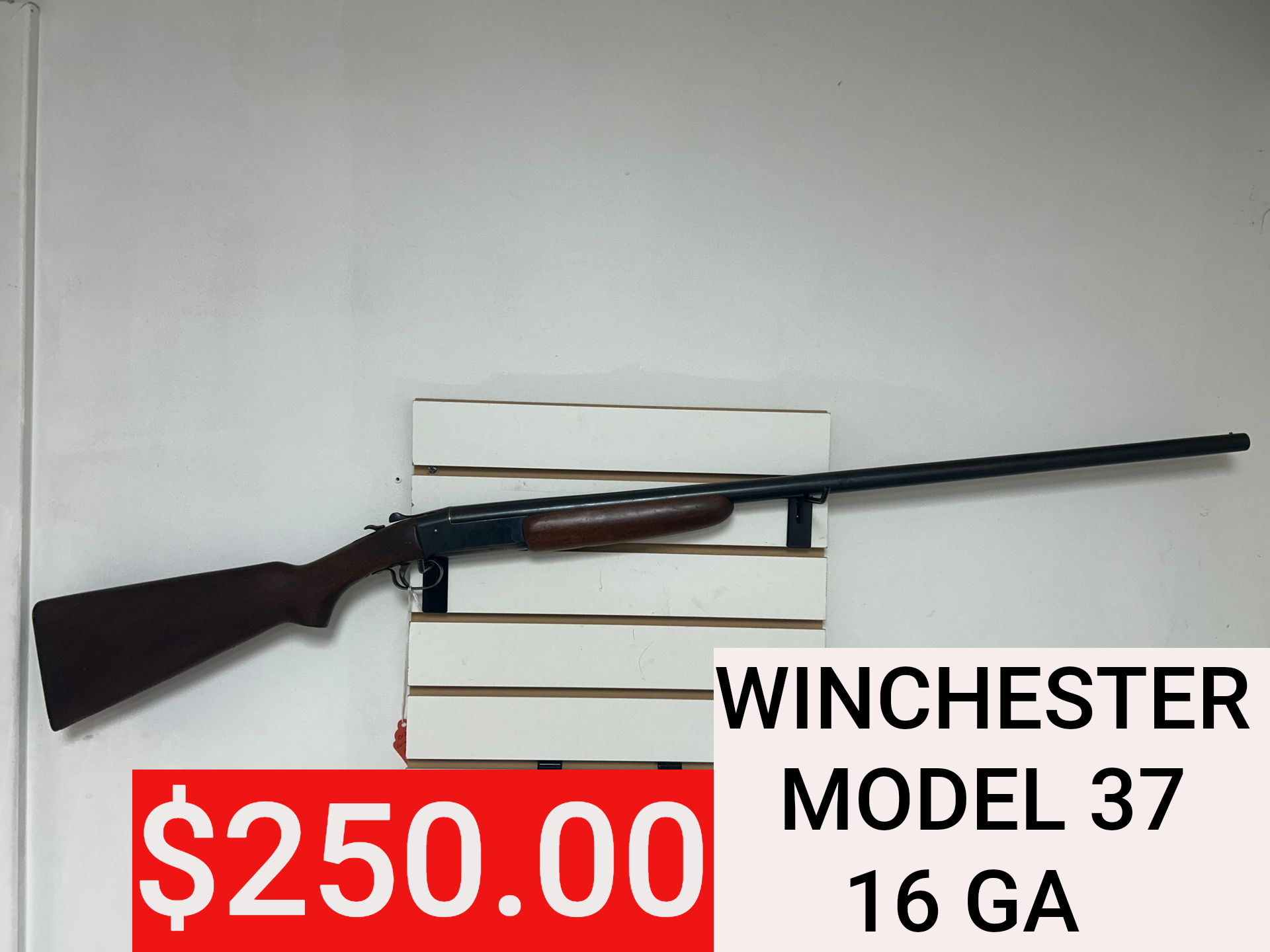 Winchester Model 37 16 gauge shotgun on white background with $250 price tag