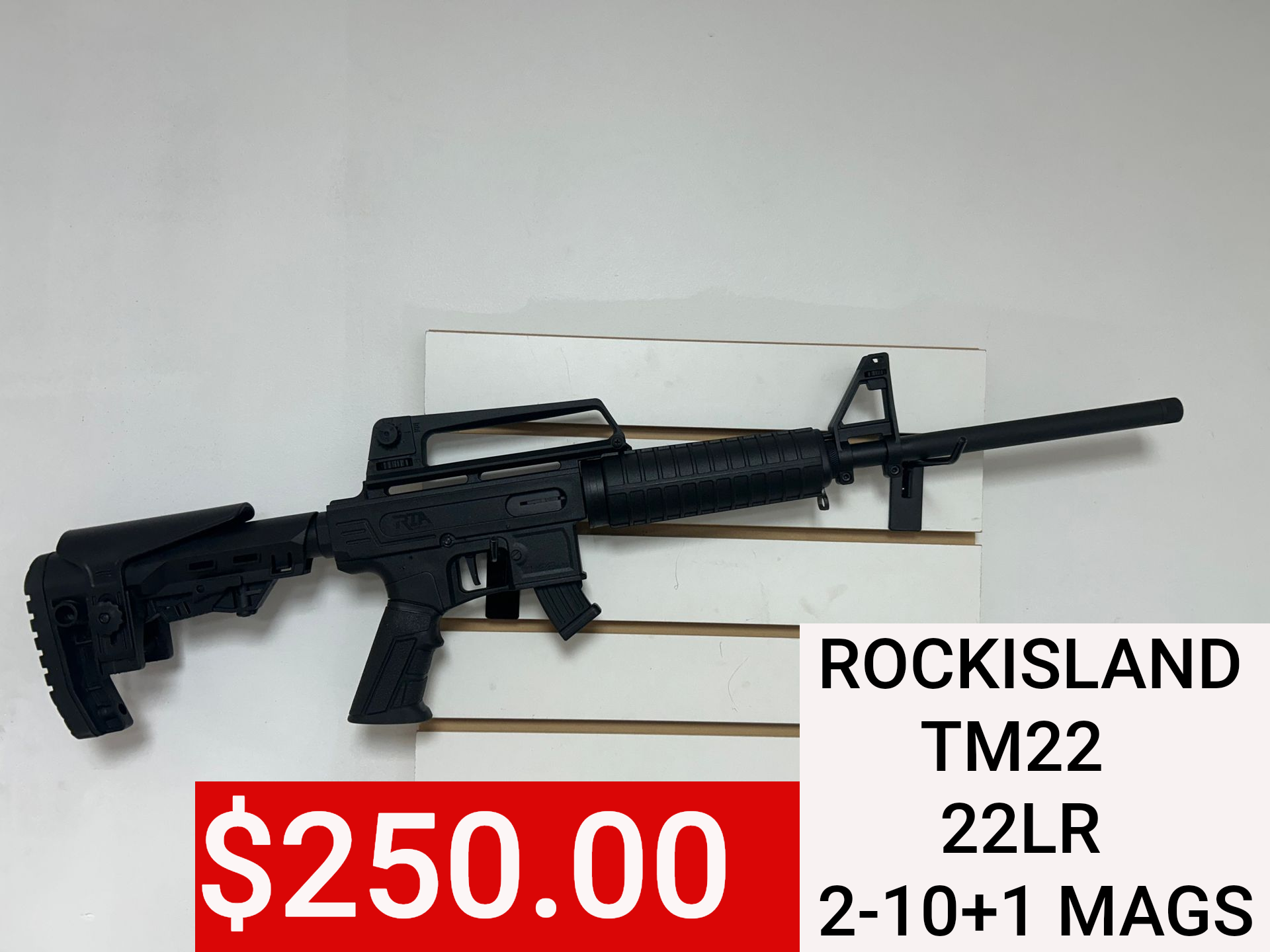 Rock Island TM22 .22LR rifle displayed with $250 price tag on a white background
