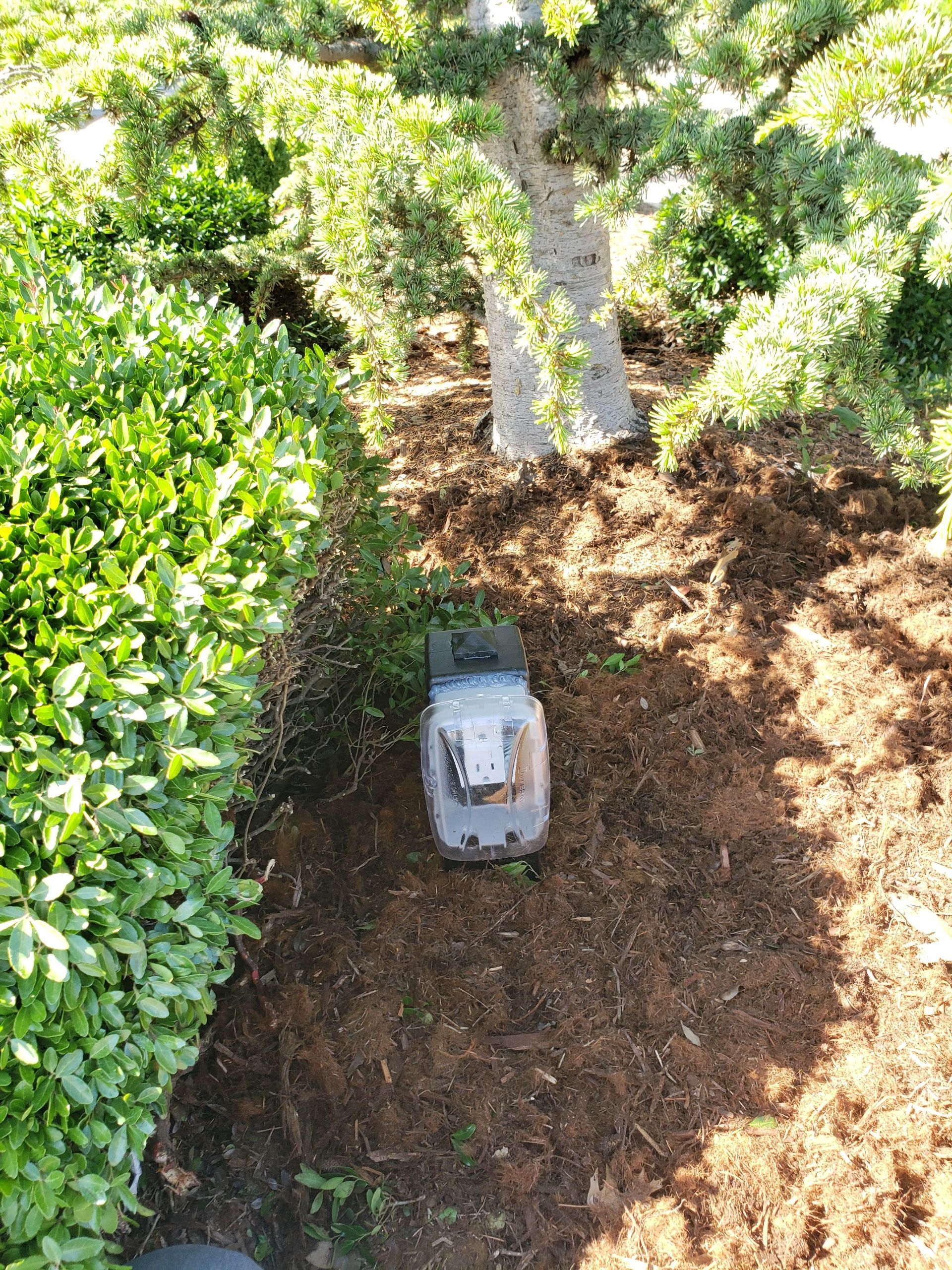 Robot lawnmower on mulch beneath a tree, next to green bushes.