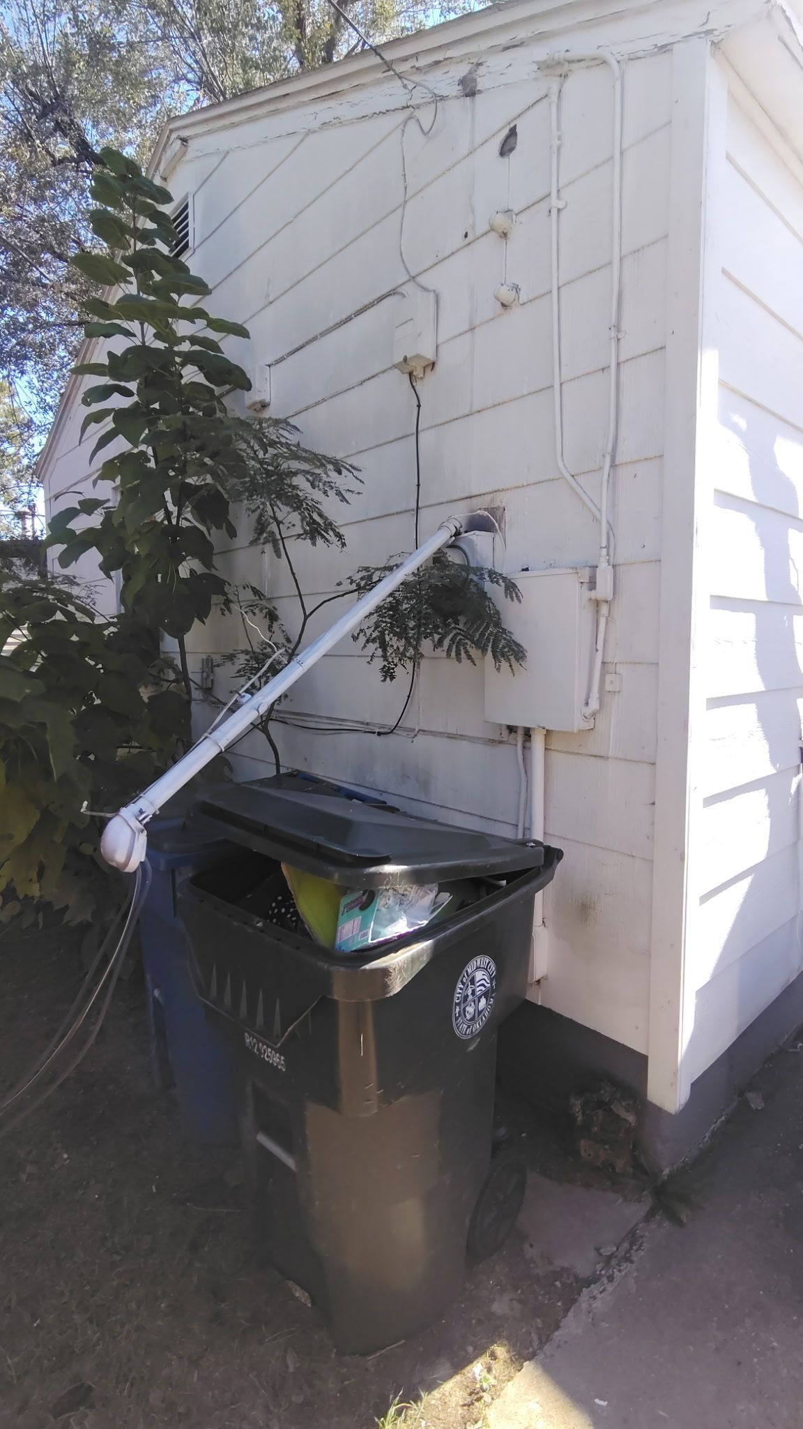 A black trash bin with a white pipe leading up the side of a white building next to some bushes.