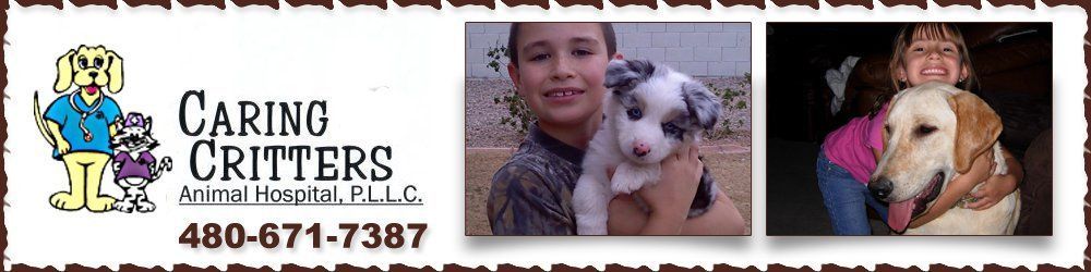 Animal Hospital - Apache Junction, AZ - Caring Critters Animal Hospital, P.L.L.C.