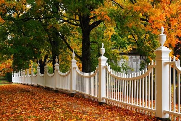 PVC and vinyl fencing services