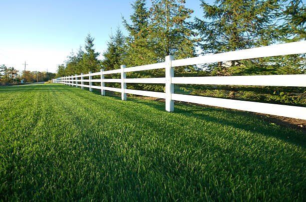 Wood fencing services