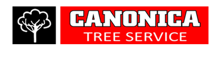 Canonica Tree Service - Logo
