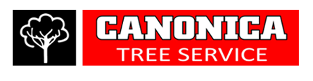 Canonica Tree Service - Logo