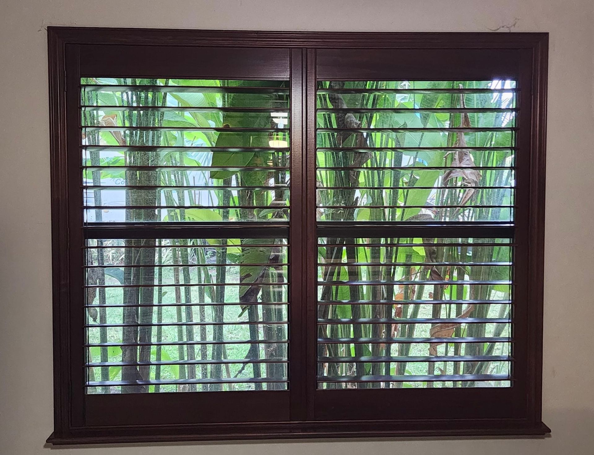 a window with shutters on it and a view of trees