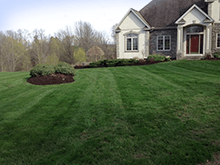 Lawn
