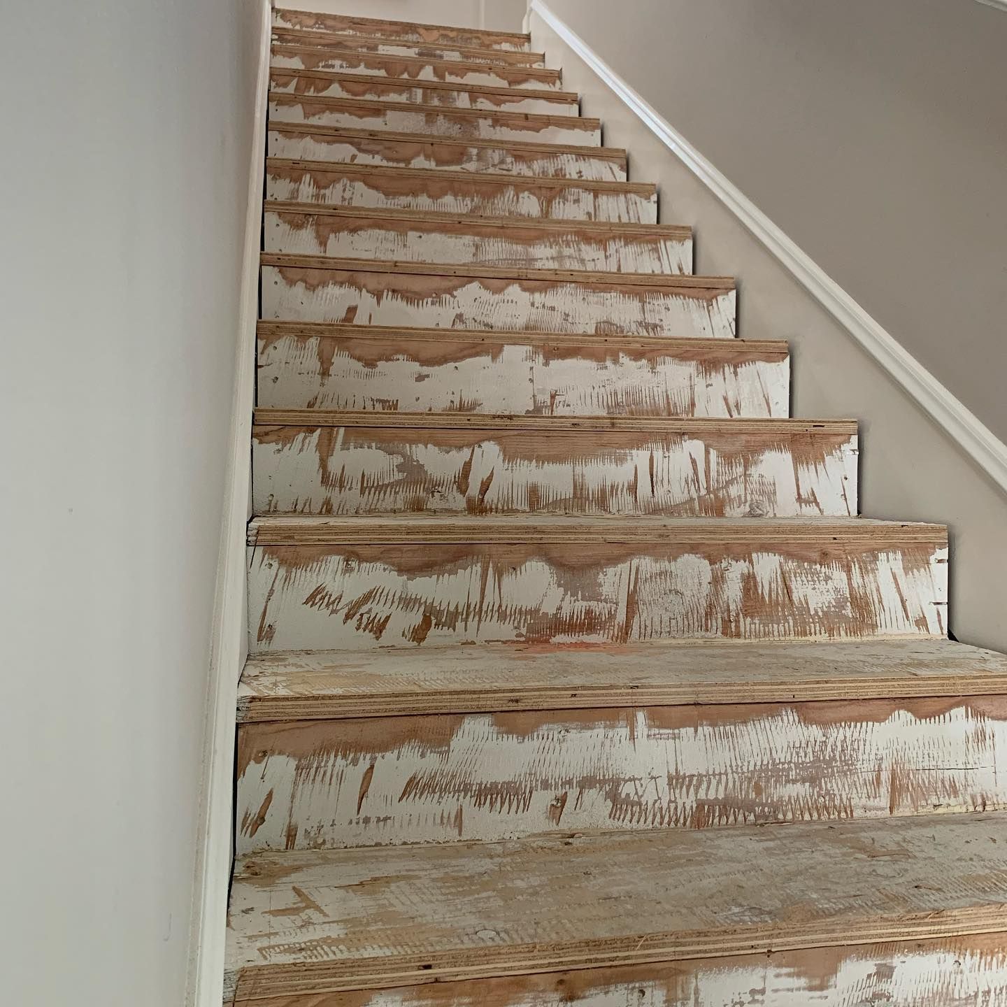 Meridian Hardwood Floors recent project