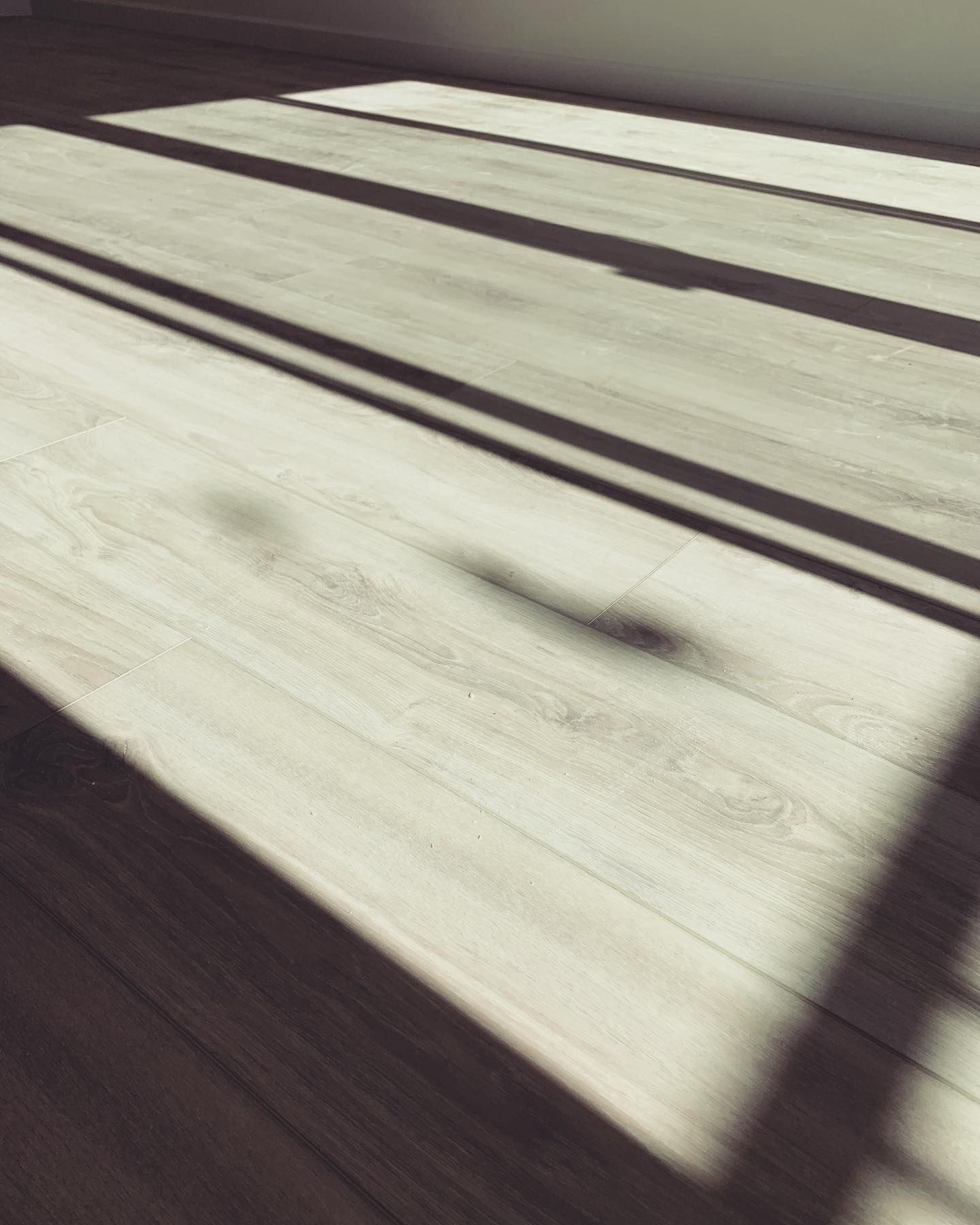 Meridian Hardwood Floors recent project