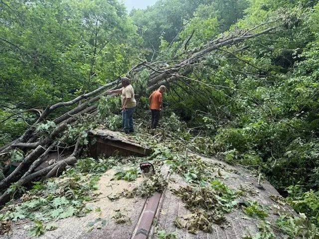 Two people inspect a train car roof covered by fallen tree branches and leaves, amidst lush green foliage.