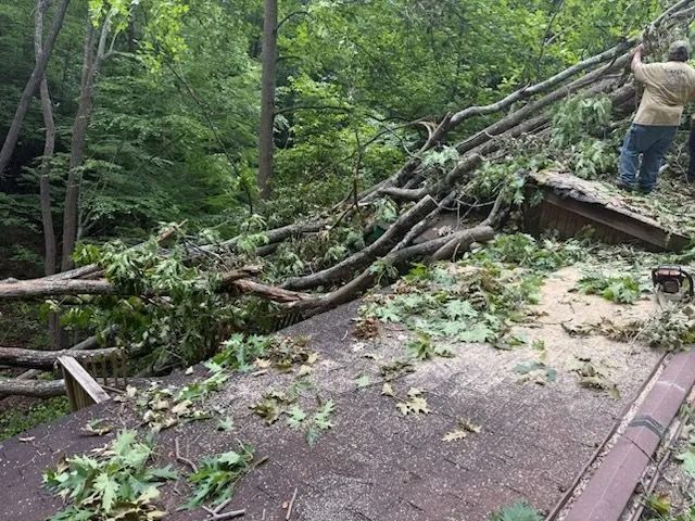 Tree branches and foliage fallen on a rooftop, person stands at the edge.