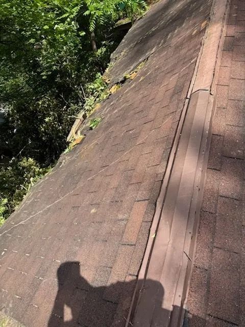 Brown roof covered in moss with a shadow of a person taking the picture.