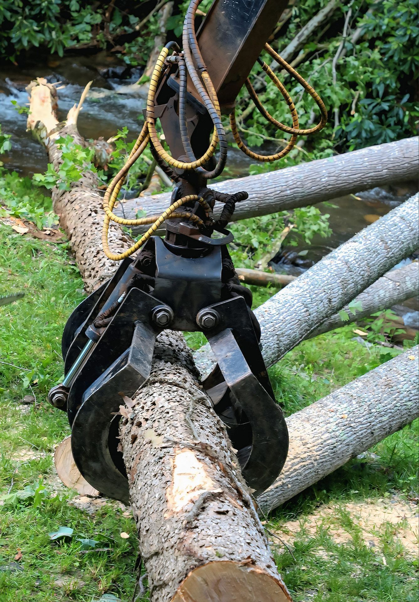 Claw of a logging machine gripping a tree trunk near a stream, logs in the background.