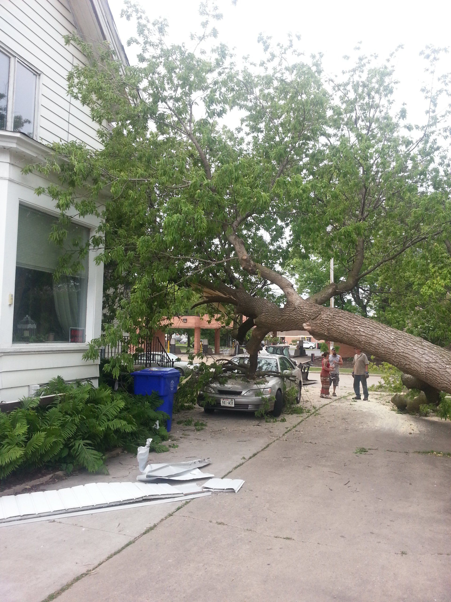 Tree on house and car